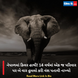 નેપાળમાં કિલર હાથી! 14 વર્ષમાં એક જ પરિવાર પર બે વાર હુમલો કરી વંશ પતાવી નાખ્યો